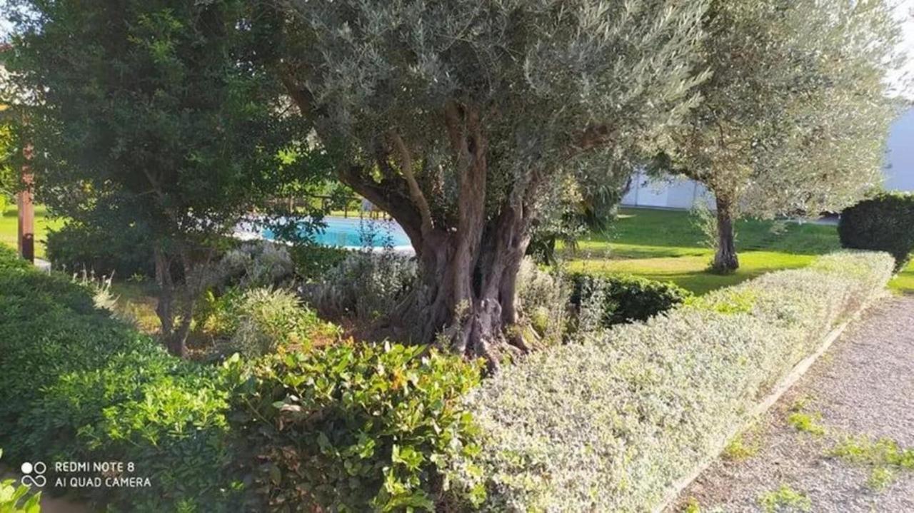 Luxurious 6 Bedroom Villa In A Great Location Chalkís Exterior foto